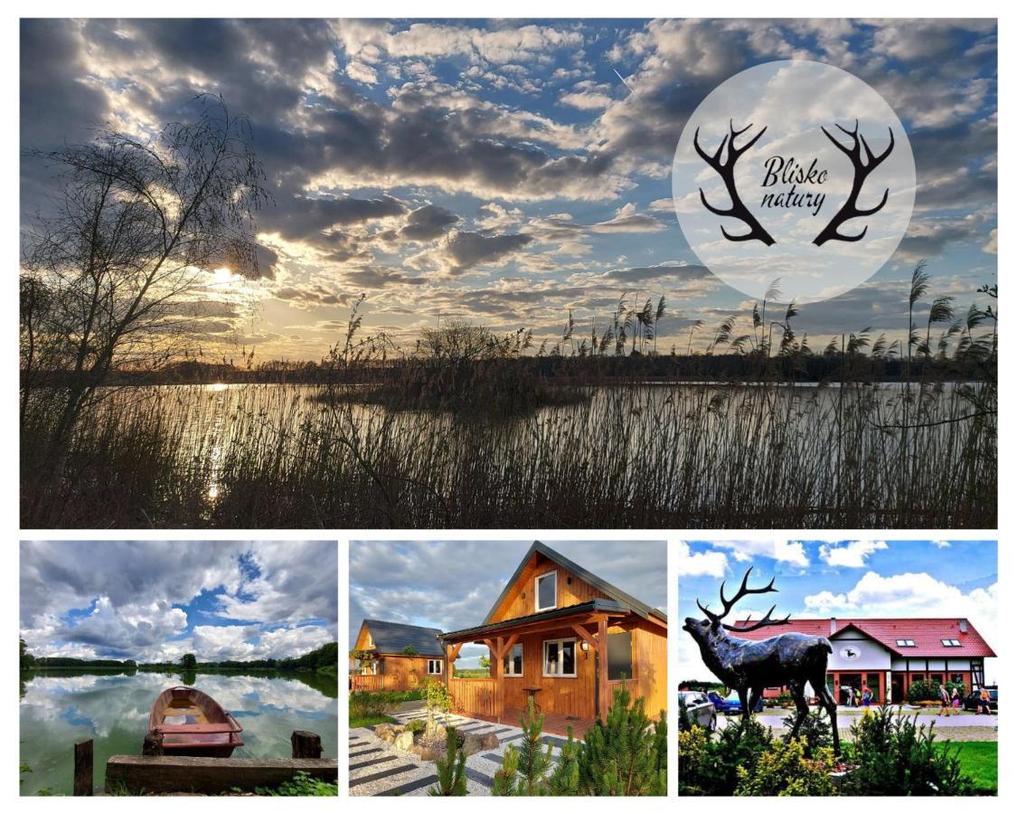 Blisko Natury - Domki Wypoczynkowe W Dolinie Baryczy Milicz Exteriér fotografie